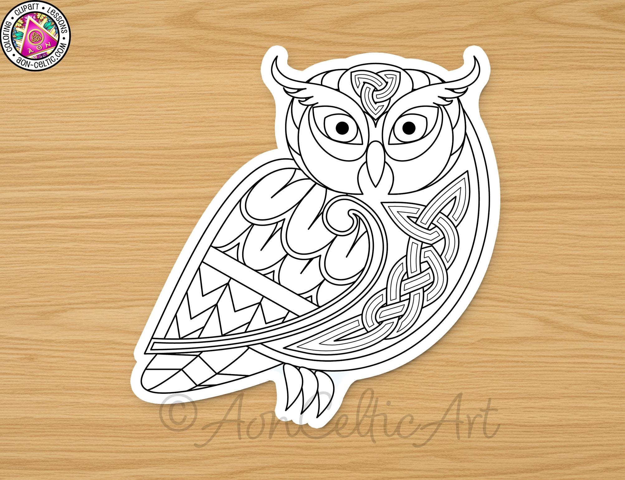A detailed illustration of an owl, featuring intricate Celtic-inspired patterns and designs.