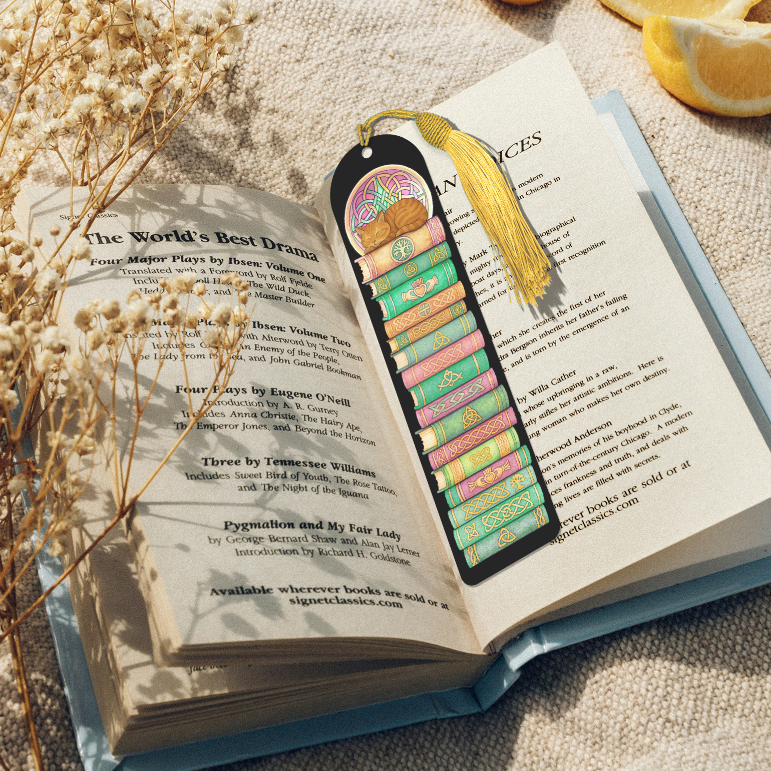 An open book with a colorful bookmark resting on the pages, surrounded by dried flowers and a yellow object.