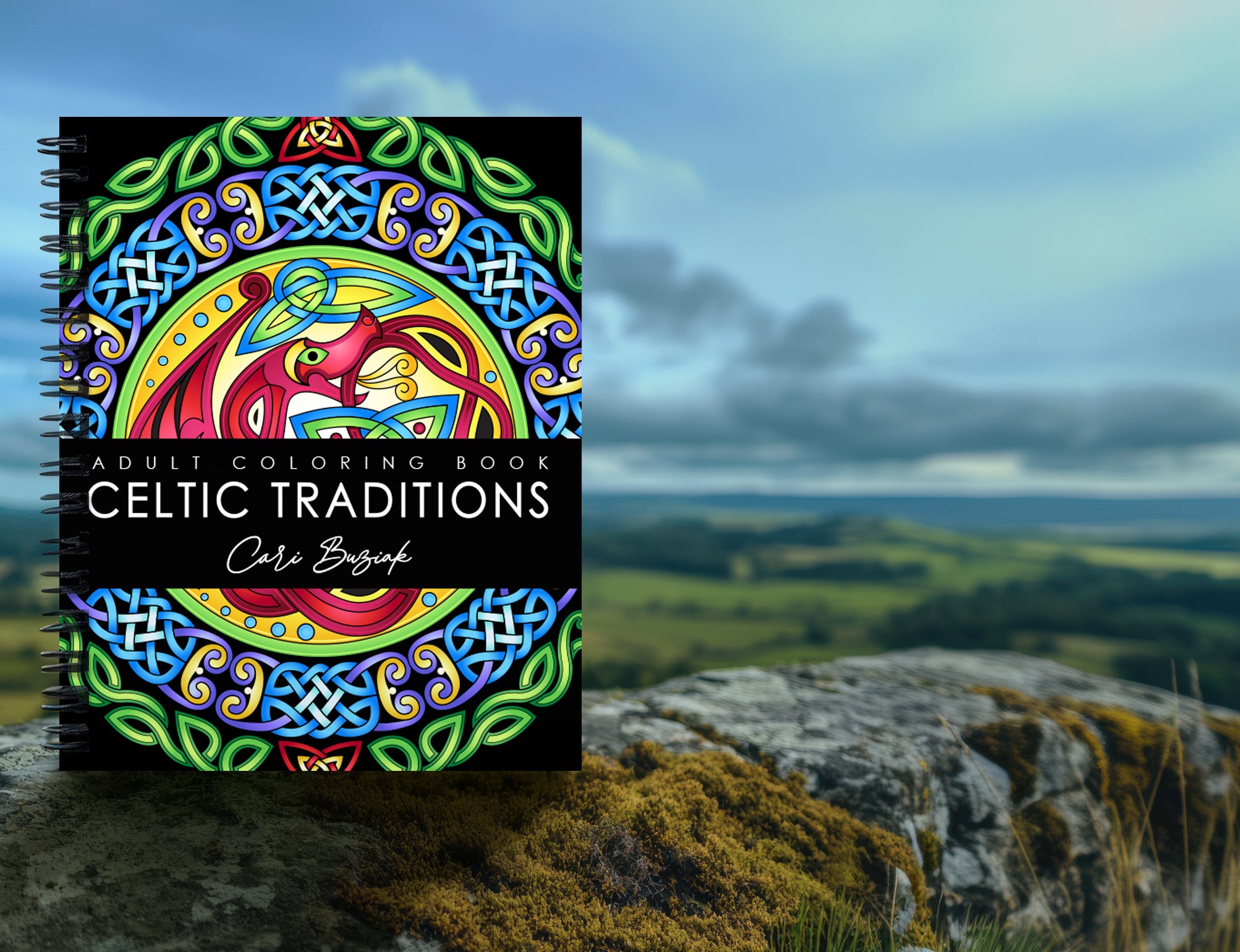 a book with a picture of a dragon on it