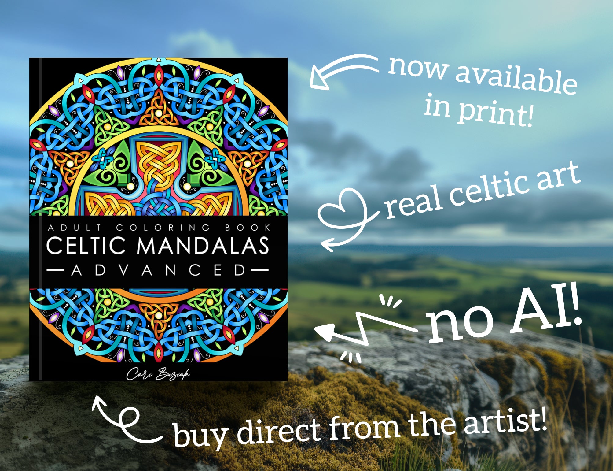 a picture of a book about celtic madalas