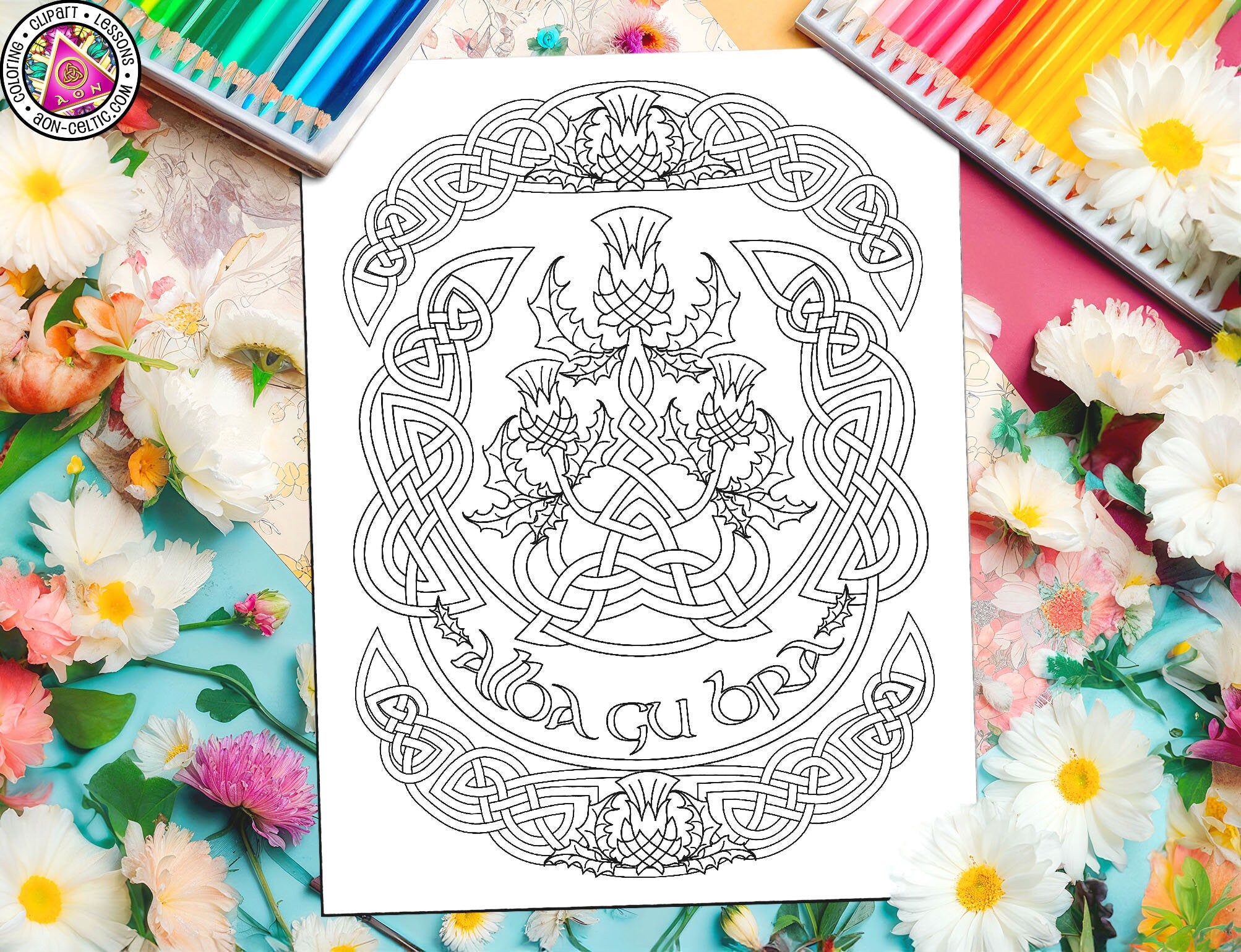 Celtic Coloring Book - Scottish Coloring Pages with Prickly Thistle & Knot Patterns PDF
