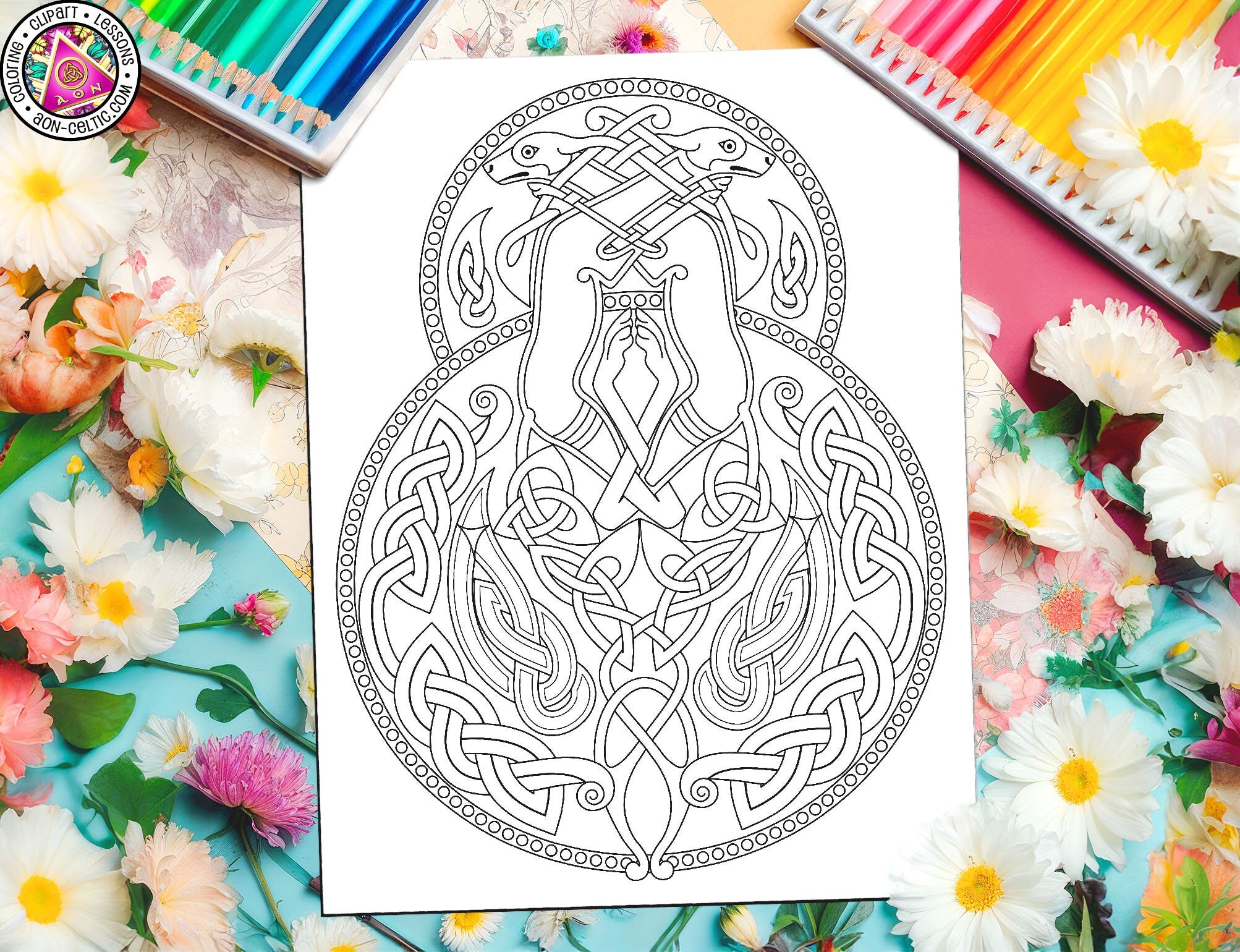 Celtic Coloring Page - Hounds of Ulster Shield Irish Clipart PDF Download