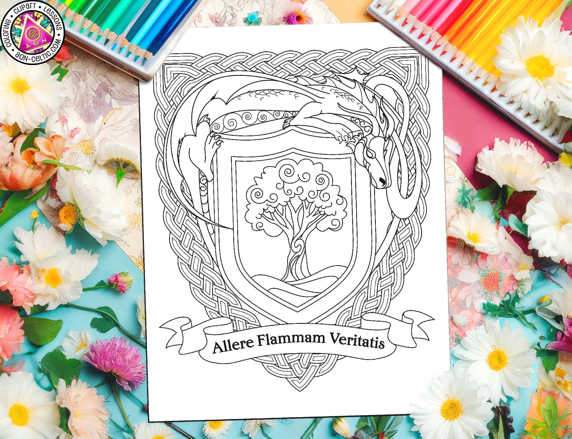 Celtic Coloring Book - Dragon Crest PDF with St Patrick's Day Shamrock Art